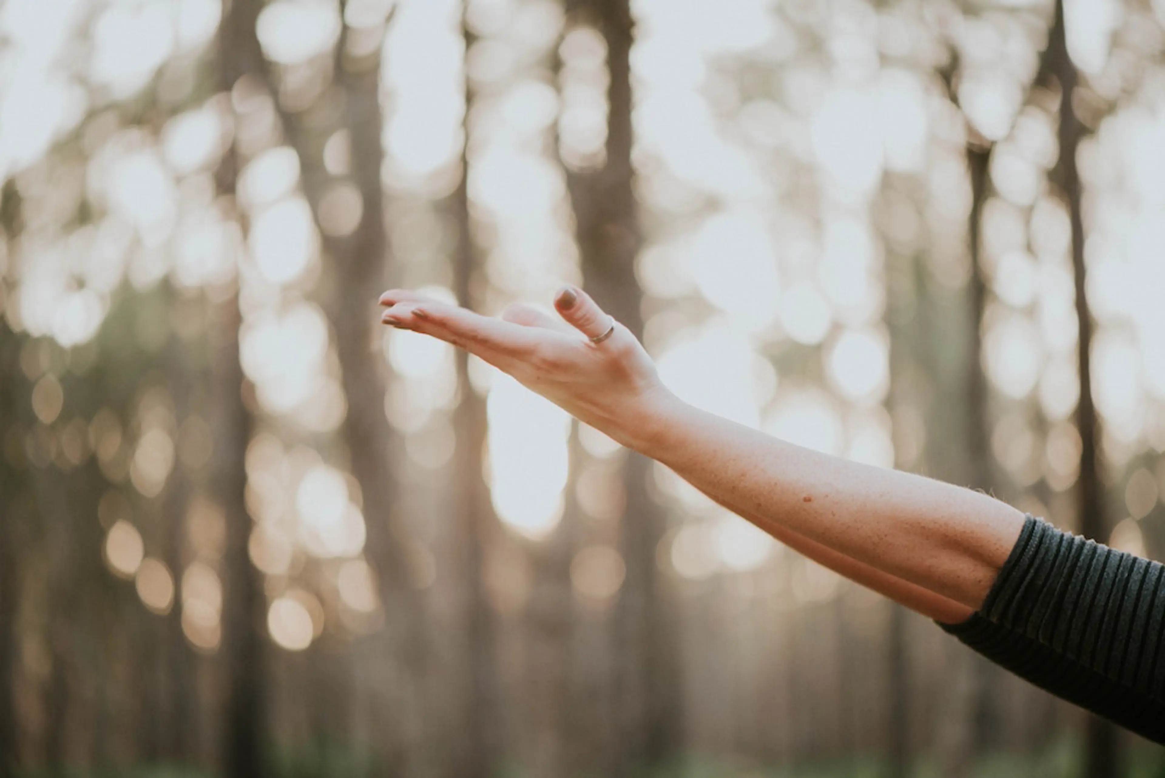 Natalie Grainger 8Ub5kfkwwkk Unsplash