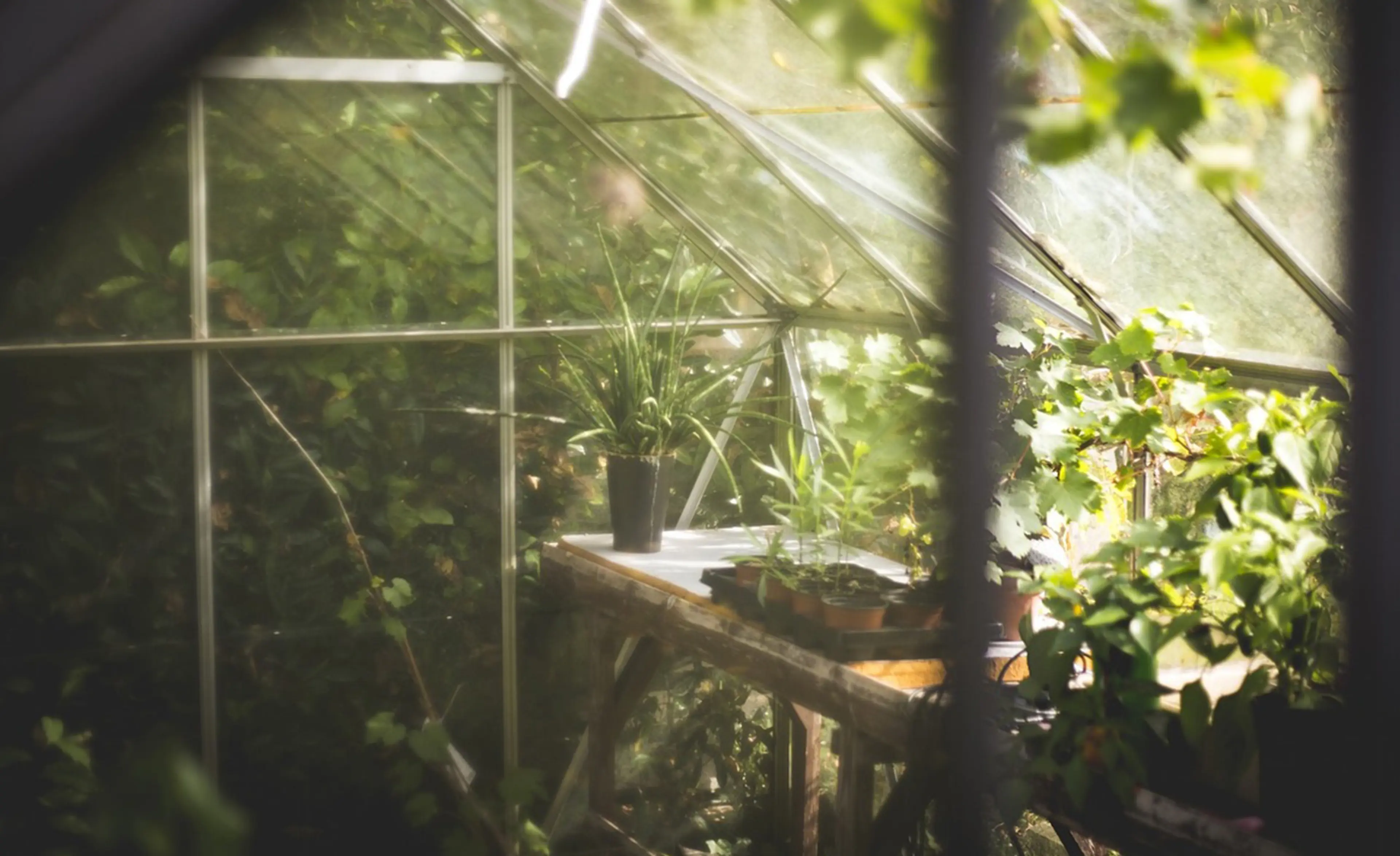 Stock - Greenhouse